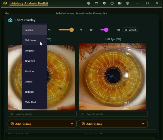 Chart overlay screen with a menu of chart authors: Jensen, Velchover, Angerer, Bourdiol, Gunther, Jausas, Roberts and Vida Deck.
